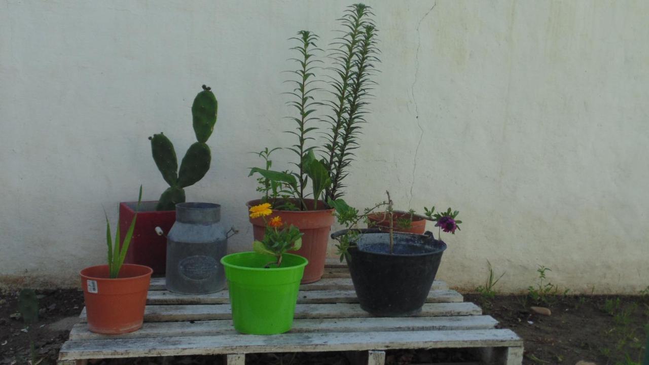 פוארטו מדרין Casa Las Calas מראה חיצוני תמונה