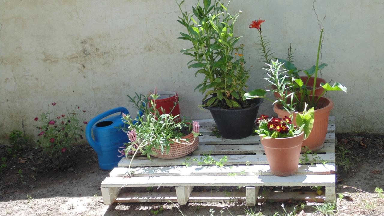 פוארטו מדרין Casa Las Calas מראה חיצוני תמונה